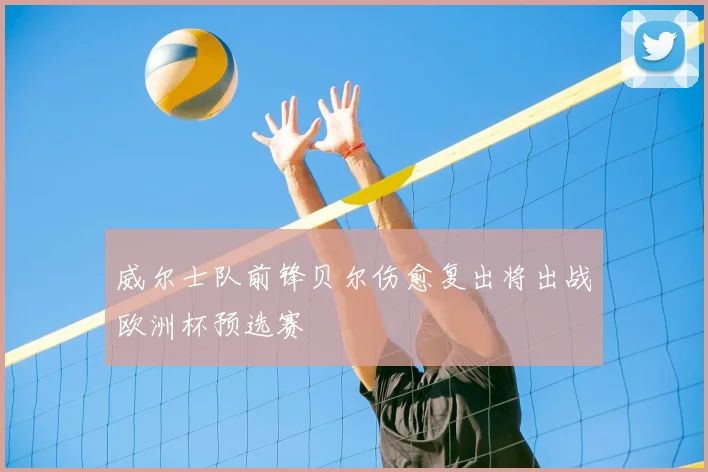 威尔士队前锋贝尔伤愈复出将出战欧洲杯预选赛