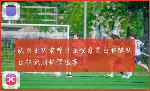 威尔士队前锋贝尔伤愈复出将随队出征欧洲杯预选赛