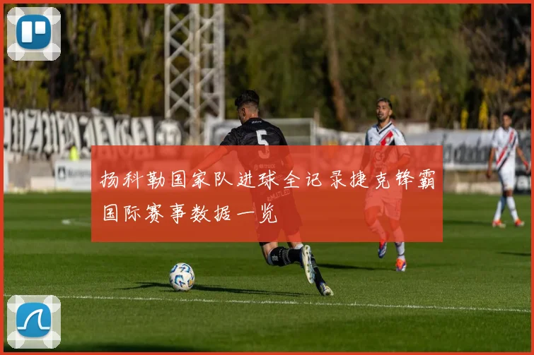 扬科勒国家队进球全记录捷克锋霸国际赛事数据一览
