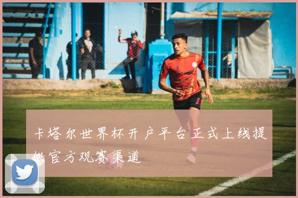 卡塔尔世界杯开户平台正式上线提供官方观赛渠道