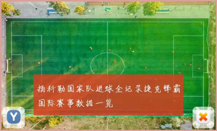扬科勒国家队进球全记录捷克锋霸国际赛事数据一览