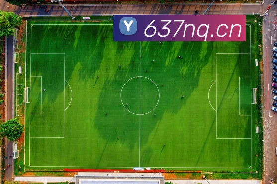 易倍emc官网网页版APP 封面图